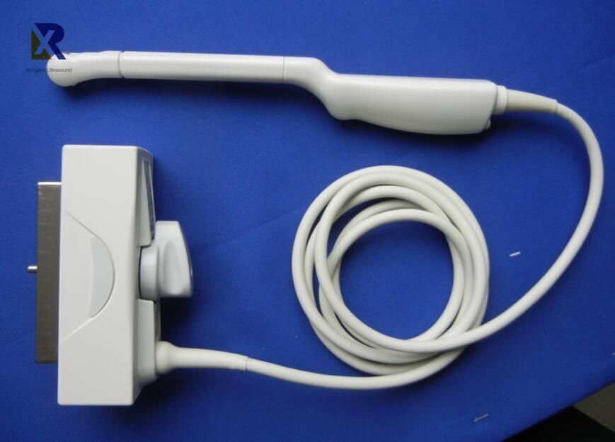 Biosound Esaote EC1123 Endocavitary Convex Ultrasound Transducer