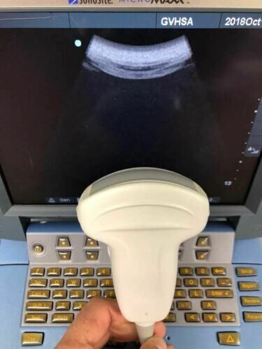 Sonosite C60e Convex Ultrasound Transducer Probe