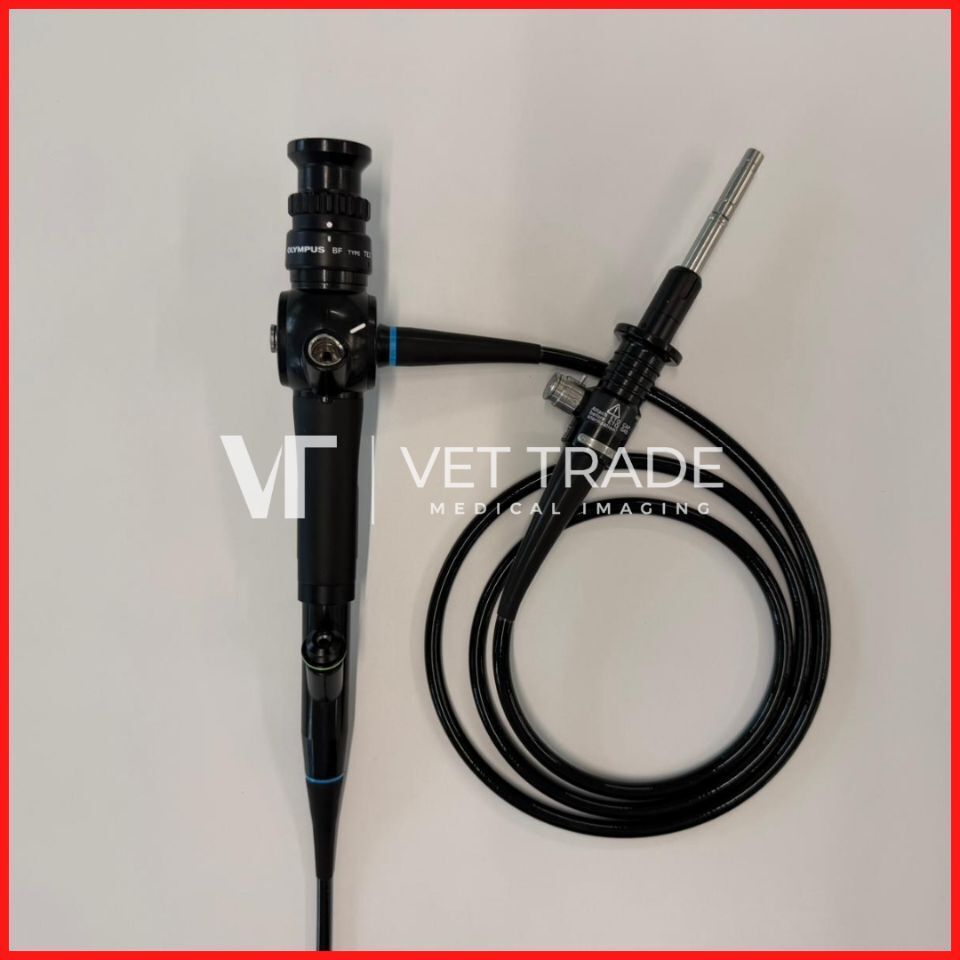 OLYMPUS BF-TE2 Fiber Bronchoscope for Pulmonary Endoscopy
