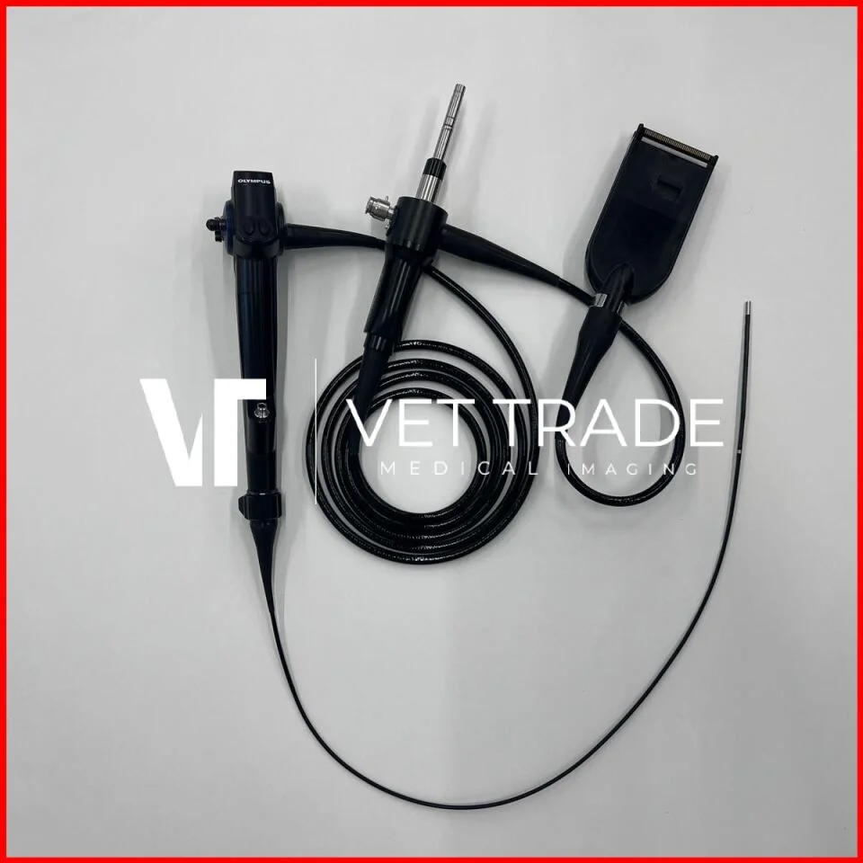 OLYMPUS URF-V3 Flexible Video Ureteroscope