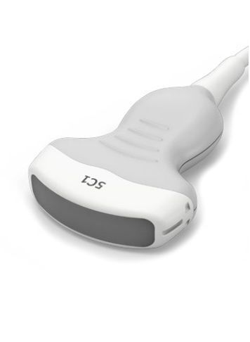Acuson Siemens 5C1 Curved Array Ultrasound Transducer