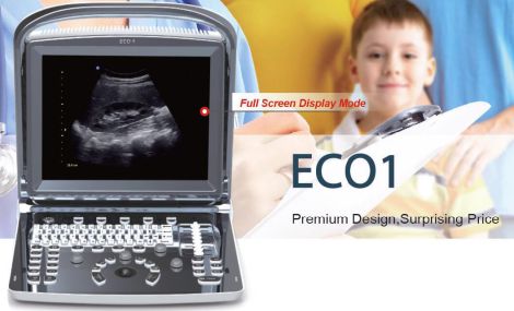 Portable B/W Ultrasound System — Chison ECO1