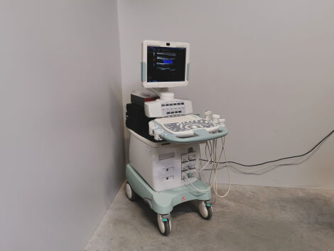 General Ultrasound System by Esaote — Mylab 60 with LA435, LA522E, and CA631 Probes