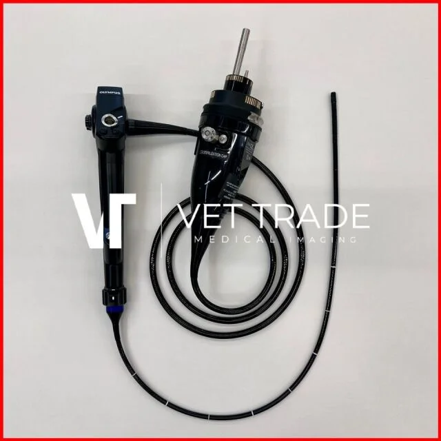 High-Resolution OLYMPUS BF-H1100 Video Bronchoscope for Pulmonology