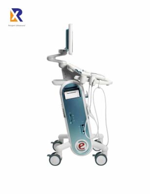 Biosound MyLab Six Cardiac and Vascular Ultrasound System