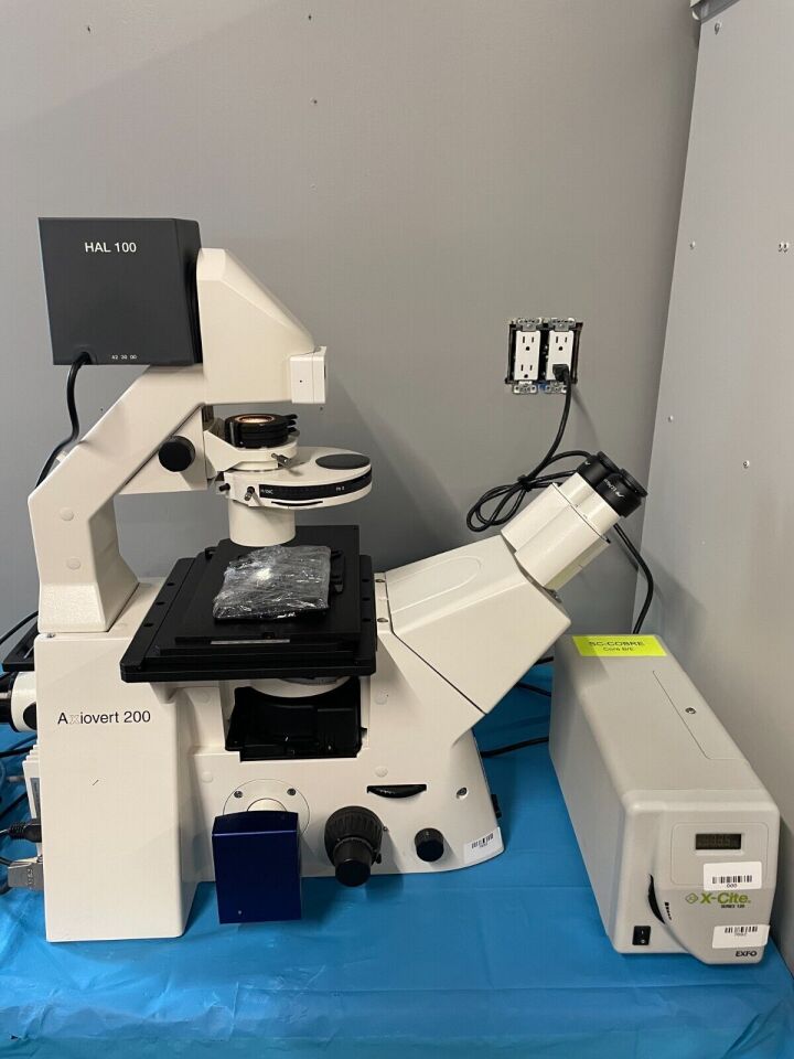 ZEISS Axiovert 200 Digital Video Microscope