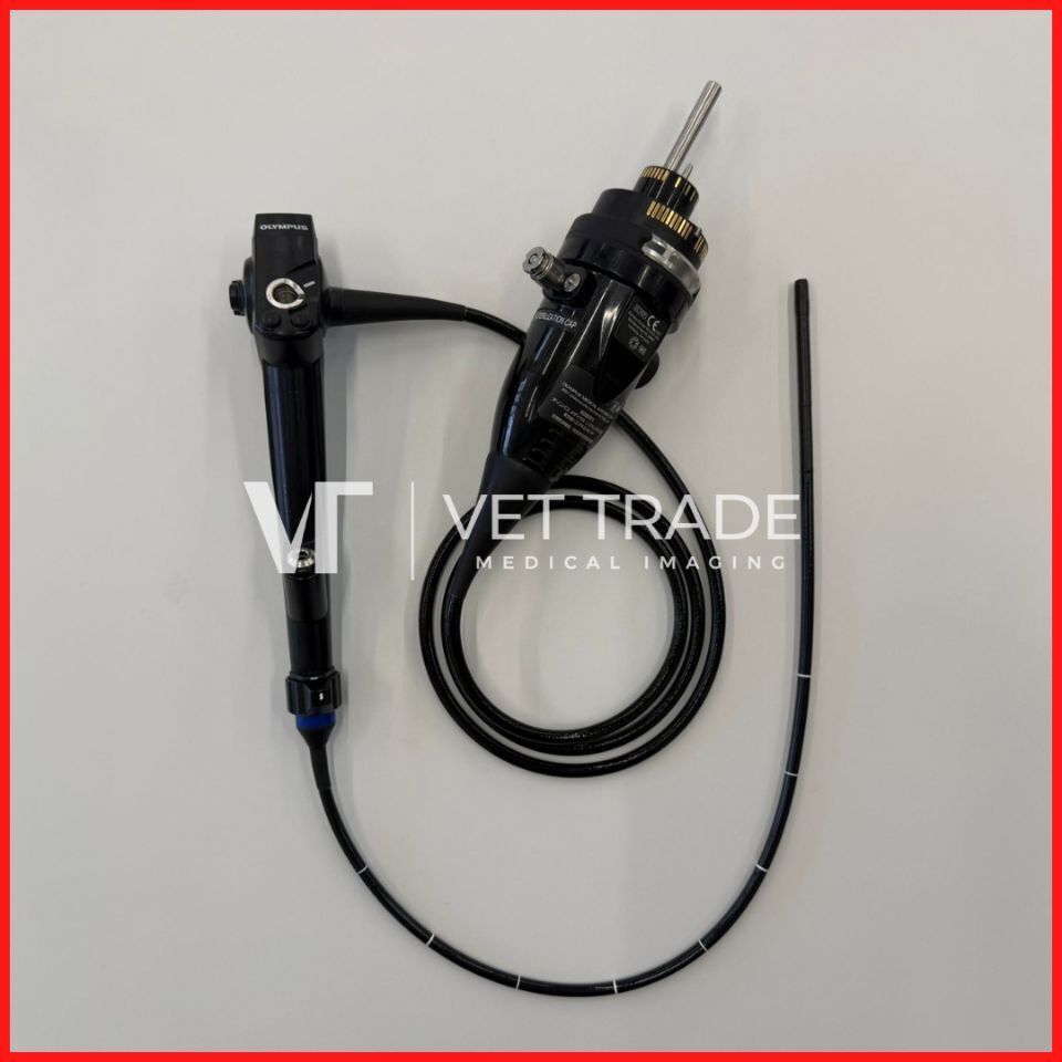Pulmonary Endoscopy Video Bronchoscope — OLYMPUS BF-1TH1100