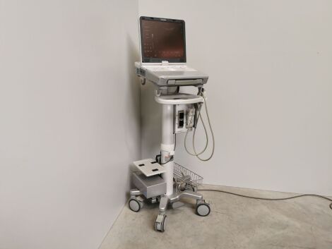 Toshiba Viamo Portable Ultrasound System
